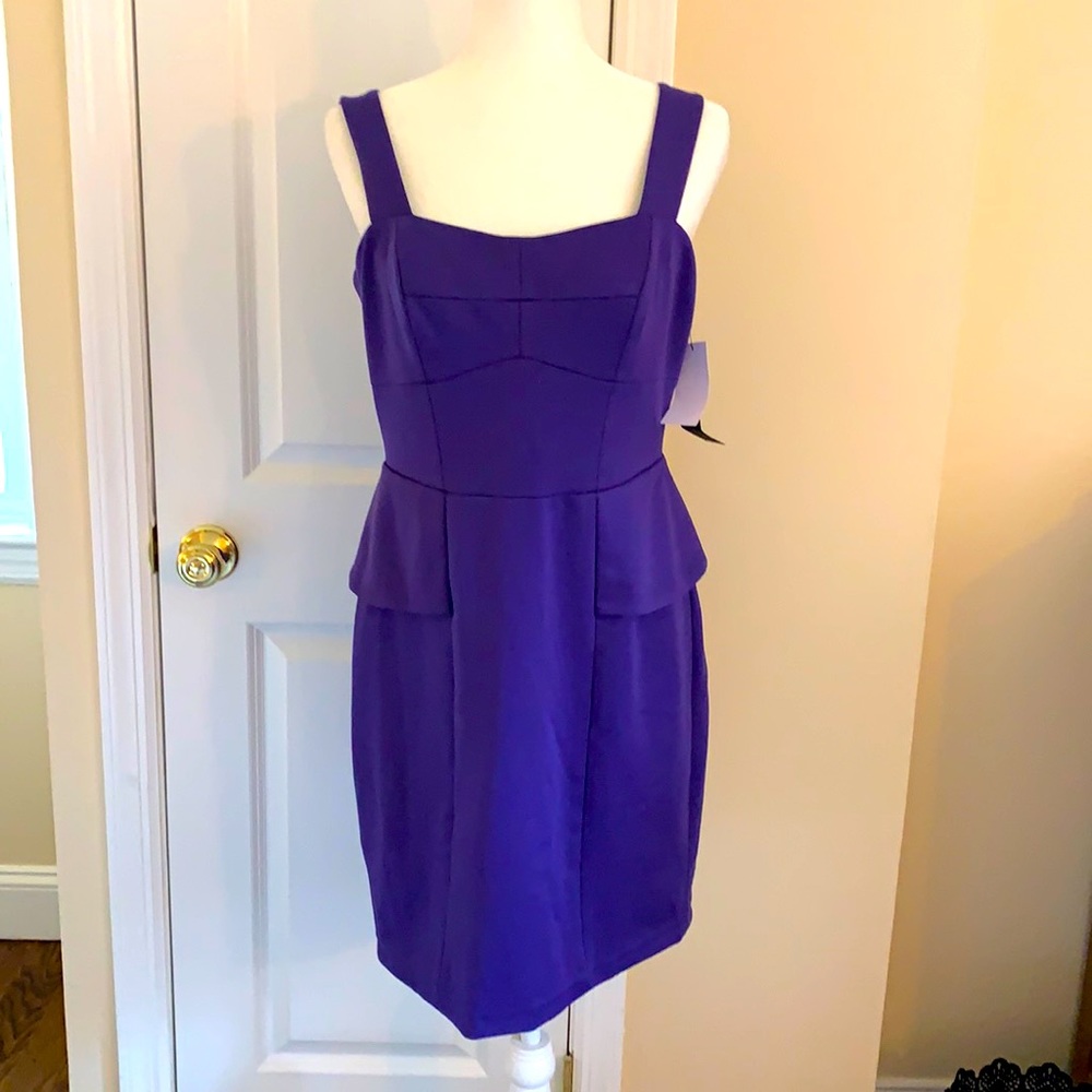 Cynthia Steffe purple dress